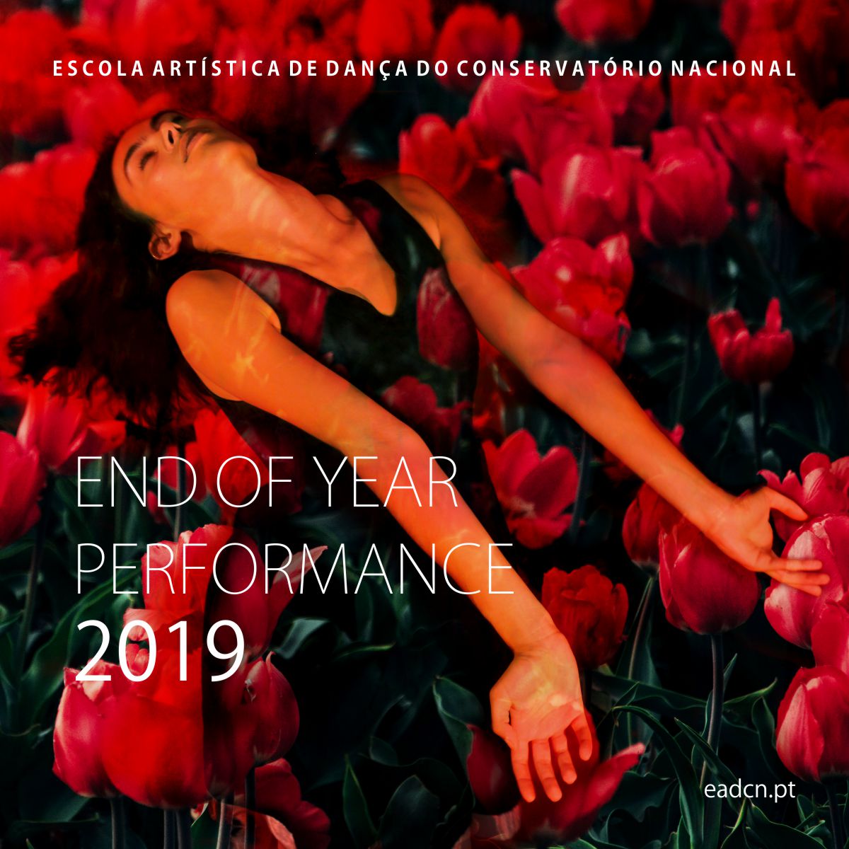 END OF YEAR PERFORMANCE 2019